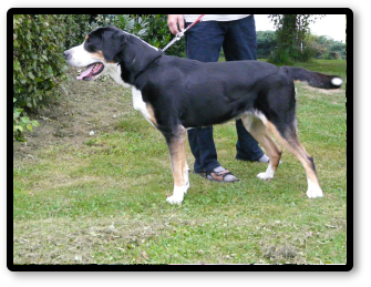 Cora Cora