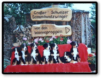 FannyWelpen FannyWelpen