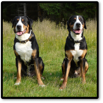 B&I5